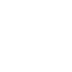 Advanced AI Icon in White